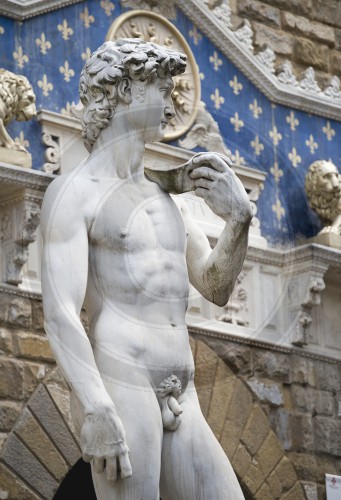 Statue David von Michelangelo