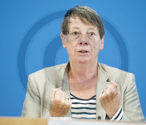 Vorstellung Jahresbericht des Bundesumweltamtes