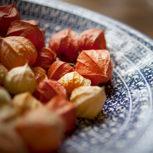 Physalis in einer tunesischen Schuessel