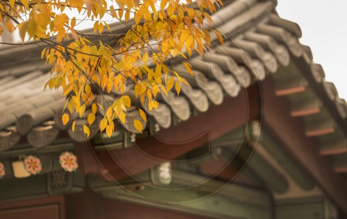 Changdeokgung, Palast der glaenzenden Tugend
