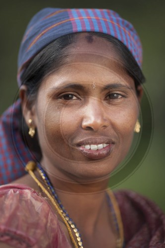 Teeplantagen in Sri Lanka