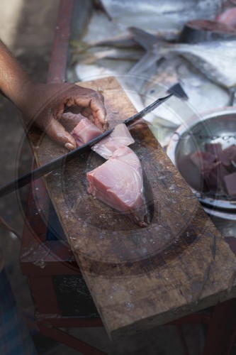 Thunfisch auf dem Markt in Colombo, Sri Lanka