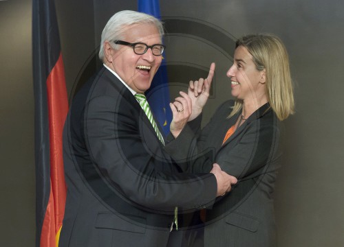 BM Steinmeier auf der MSC