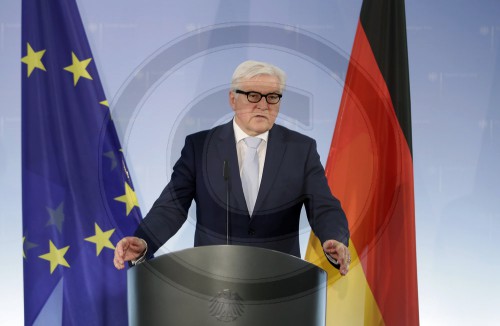 Steinmeier zu Review 2014