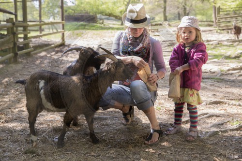 Fruehlingstag im Wildpark