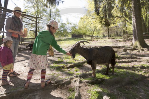 Fruehlingstag im Wildpark