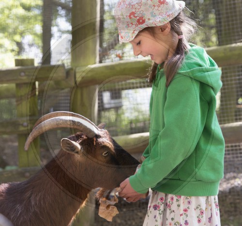 Fruehlingstag im Wildpark