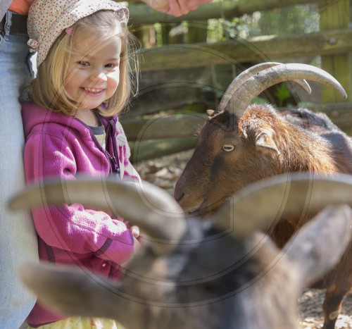 Fruehlingstag im Wildpark