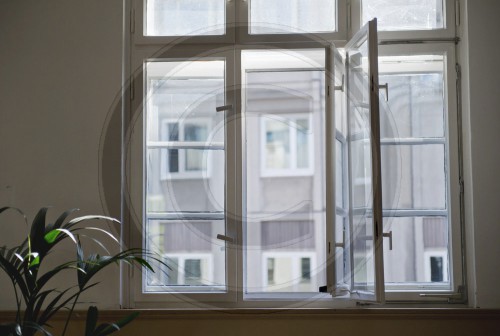 Berliner Fenster