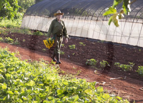 Oekologisches Gartenbau Projekt in Kuba