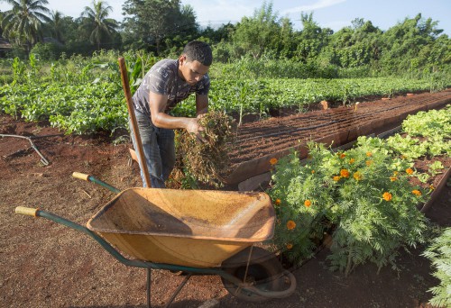 Oekologisches Gartenbau Projekt in Kuba