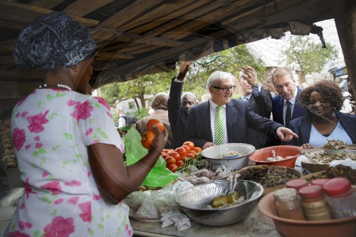 20.11.2015 BM Steinmeier in Sambia