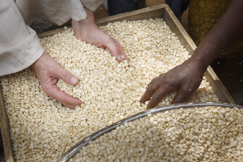 Verteilen von Mais in Sokode