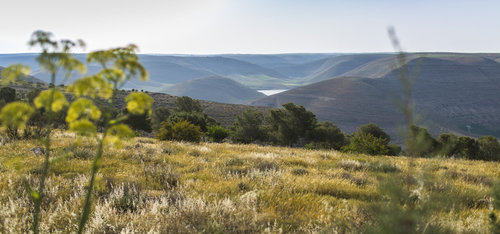 Blick auf das Wala Reservoir in Jordanien