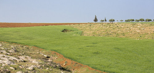 Blick auf Dheeban in Jordanien