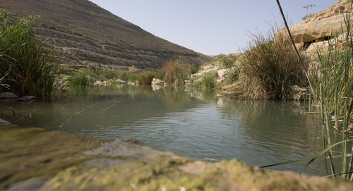 Wasserstelle im Wadi Hedan in Jordanien