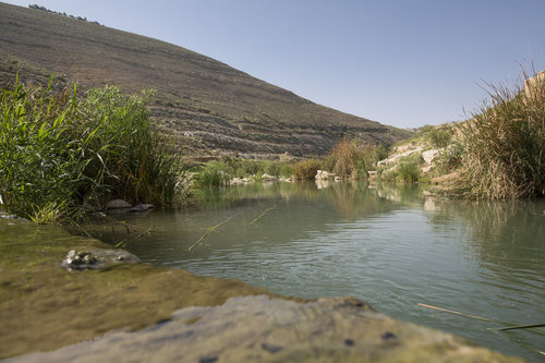 Wasserstelle im Wadi Hedan in Jordanien