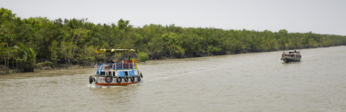 Sundarbans, weltgroesster Mangrovenwald in Bangladesch