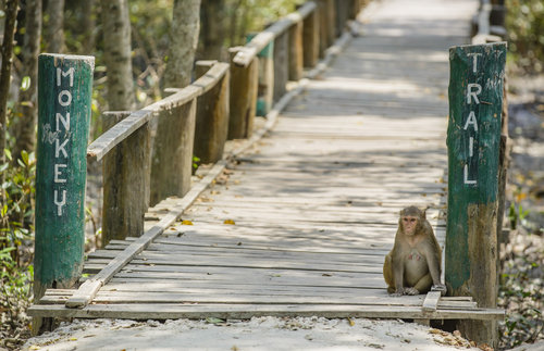 Caramjal Eco-Tourism Centre in Bangladesch