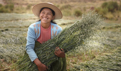 Landwirtschaft in den Anden