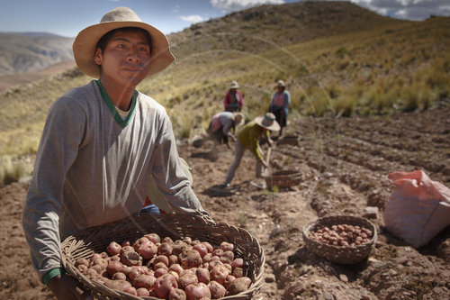 Landwirtschaft in den Anden