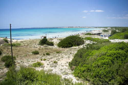 Es Trenc Strand auf Mallorca