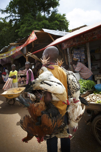 Markt in Niamey, Hauptstadt von Niger