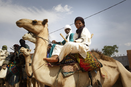 Junge Tuareg auf Kamelen in Agadez