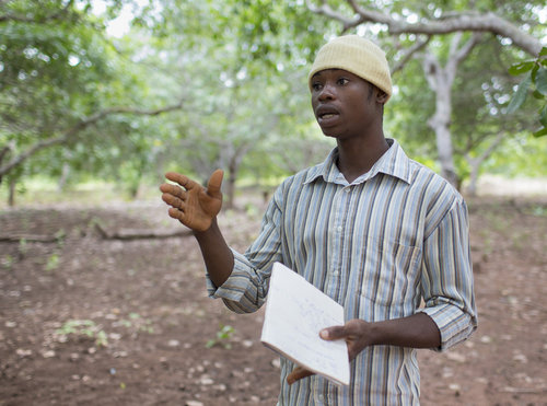 Afrikanischer Bauer auf seiner Cashew Farm