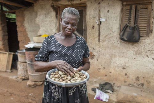 Cashew Baeuerin in Ghana