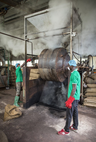 Cashew Verarbeitung in Ghana