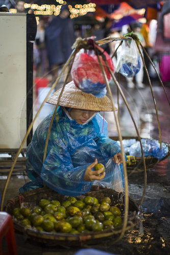Strassenverkauf von Obst in Hanoi