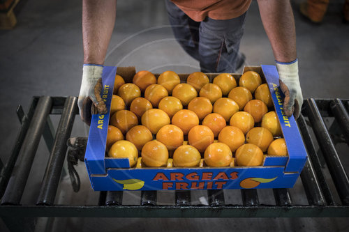 Vertrieb von Orangen in Griechenland