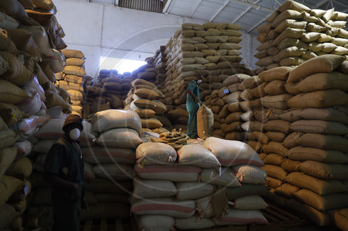 Kaffeeberge der Kaffeeroesterei der Neumann Gruppe in Kenia