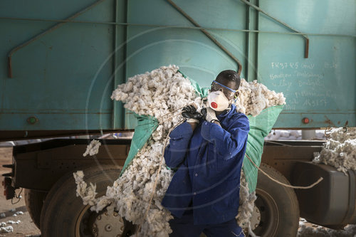 Arbeiter in der Baumwoll Industrie