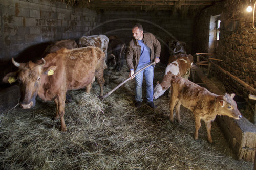Albanischer Landwirt bei der Arbeit
