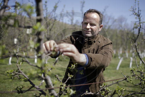 Obstbauer in Albanien