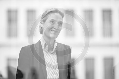 Alice Weidel