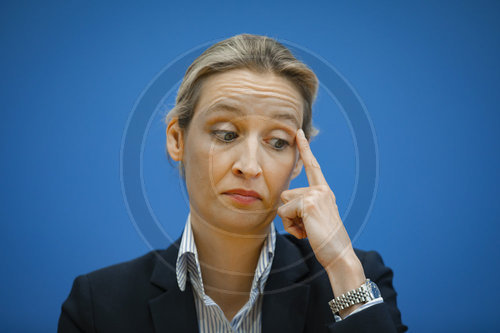 Alice Weidel