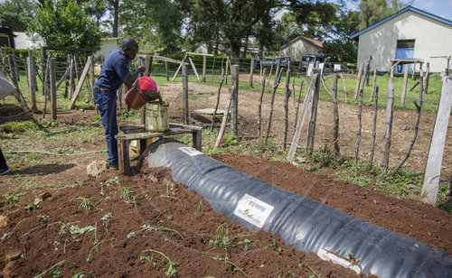 Bukura Agricultural Training Centre in Kenia