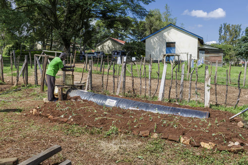 Bukura Agricultural Training Centre in Kenia