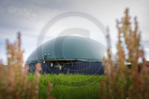 Energie durch Biogas