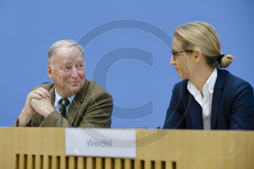 AfD Bundespressekonferenz.