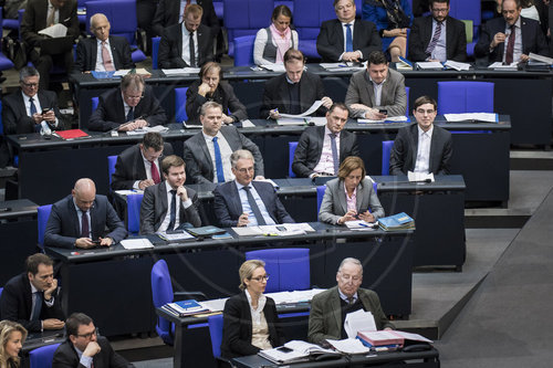 Bundestag