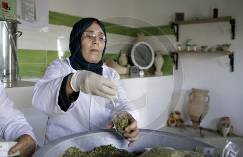 Herrstellung von Biokosmetik in Tunesien