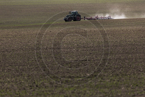 Landwirtschaft