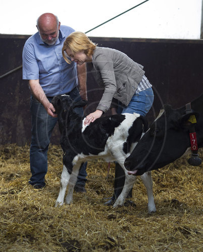 Bundeslandwirtschaftsministerin Julia Kloeckner, CDU, besucht den Milchviehbetrieb der Familie Berg