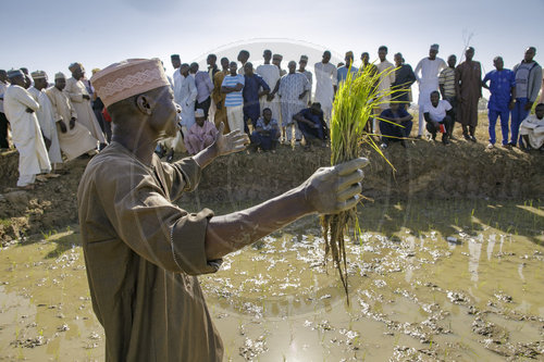 Nigeria