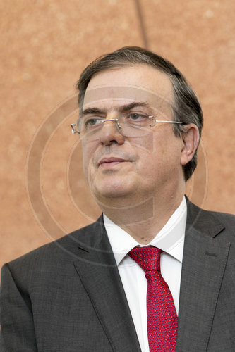 Marcelo Ebrard Casaubon