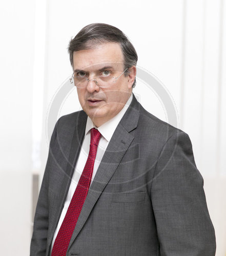 Marcelo Ebrard Casaubon